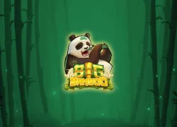 Big Bamboo